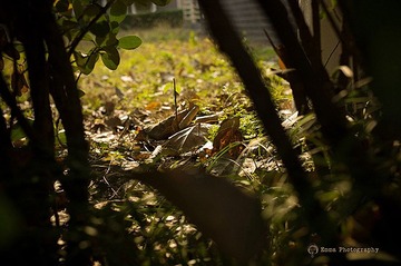L1000064.jpg