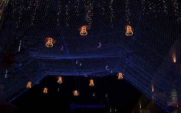 L1000090.jpg