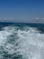 DC6885B2-EB96-4703-A7AE-6077FEDDFCC6/L0/001