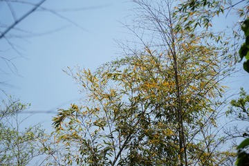 D2FC8446-D82F-47C7-AC47-2A060F2A78B2/L0/001