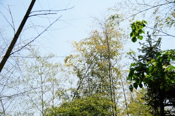 AF86A6FA-5907-49E2-831C-DE6D73F581D5/L0/001