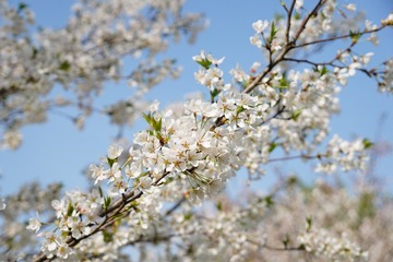 B7A04E4A-79F5-44FD-97D6-B89063AFBF80/L0/001