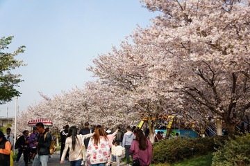 9936EB12-FC69-40A5-9E26-D738020E0B9F/L0/001