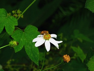 0A015AC4-33AA-4080-A30A-B815063B9216/L0/001