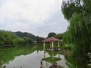 210C1449-E165-438F-AE23-AC969089A728/L0/001