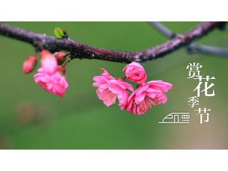 888423