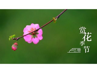 888393
