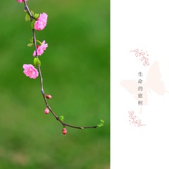 888387
