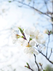0EDB73A1-348F-4C1B-A95C-BE408F602735/L0/001