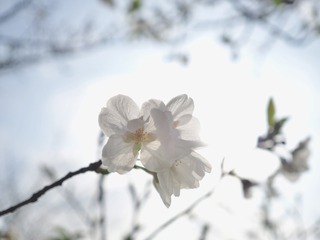 4721EE97-C5EC-49CA-90EE-3AD432BCB838/L0/001