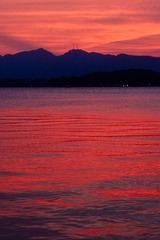 6157C753-081E-4C6A-967C-139AE92C7F35/L0/001