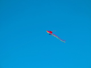 63304