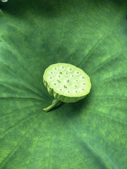 1672