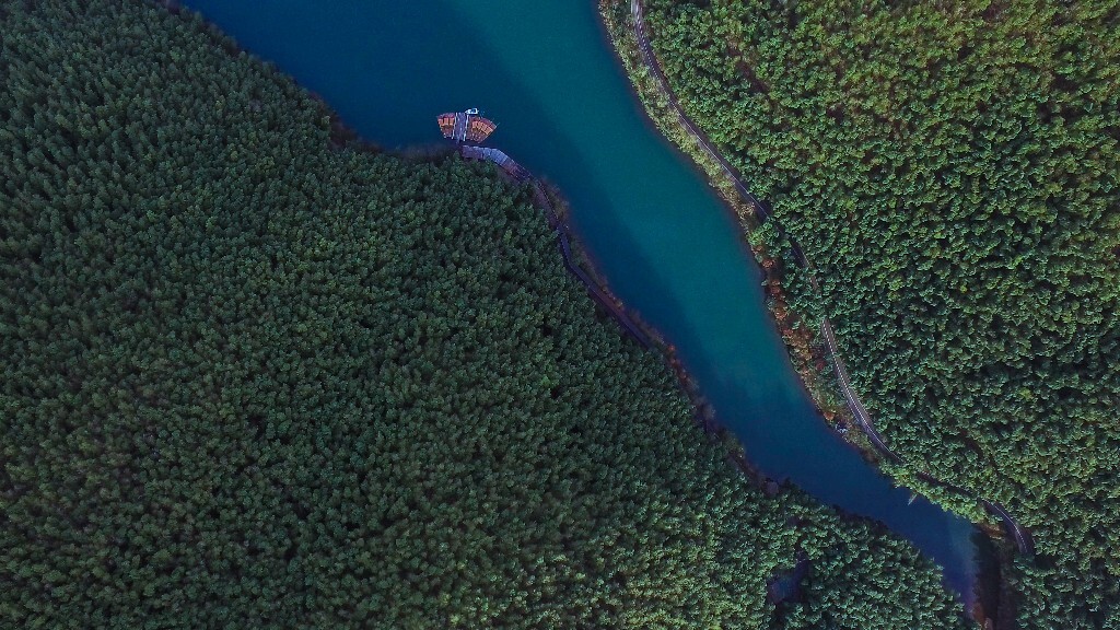 南山竹海