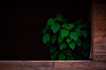 53797