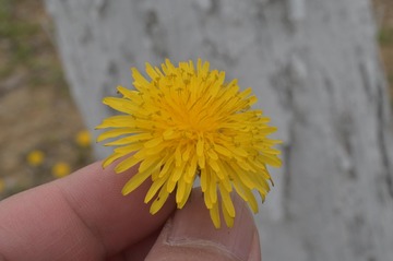84F2CA95-5CB4-44AA-8A3C-1CD132B755A4/L0/001