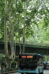 403381