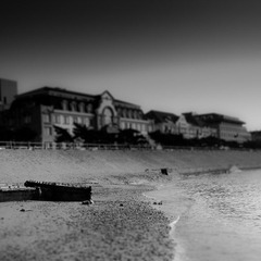 DSC07989.jpg