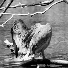 DSC_0098.jpg
