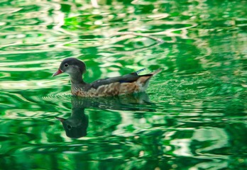 DSC_0113.jpg
