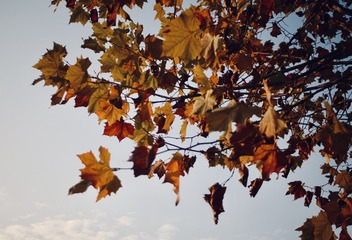 1F4A1824-187B-4860-B033-B4CACE1B9BA5/L0/001
