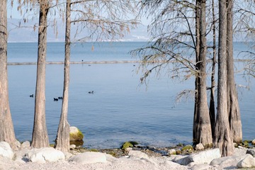 A82AB70E-F59C-4AB0-8770-597D0916D3C7/L0/001