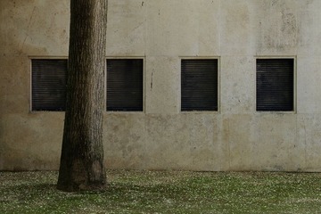 IMGP4671_副本.jpg