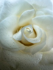 558C7ADD-3C43-41A4-84F8-E39B3CC0E769/L0/001