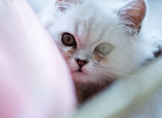 DSC_0376.jpg