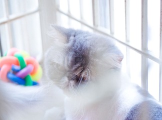 DSC_0371.jpg