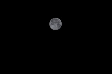 DSC_0977.jpg