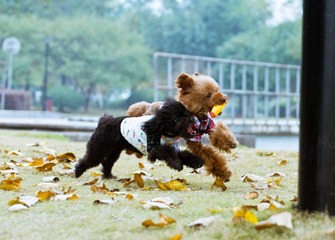 DSC_0080-2.jpg