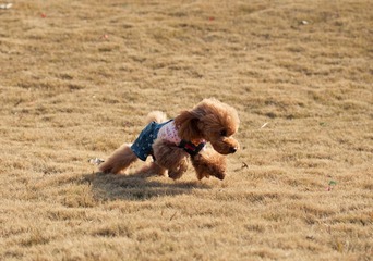DSC_0663.jpg