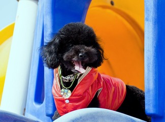 DSC_0554-编辑.jpg