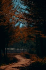 452886