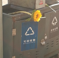 383169