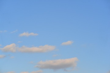 C8162FA3-D235-4DD1-BB2E-2EDEAF582130/L0/001