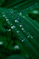 260AD0C2-5B4B-4E22-8C56-06B65C354849/L0/001