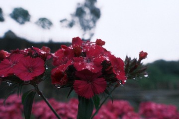 F8010943-113B-4ABA-9587-BE9A07F20E05/L0/001