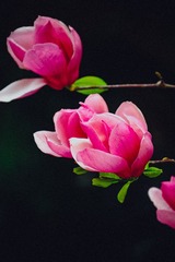 6B6B3F40-3645-4FBD-97FF-A4FAB901BA3E/L0/001