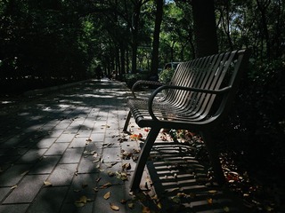 IMG_20231013_131648