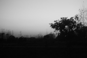 56FF1AD3-62B4-48EE-9529-4AC445F29C70/L0/001