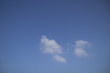 IMG_5150.jpg