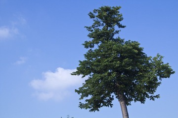 IMG_5156.jpg
