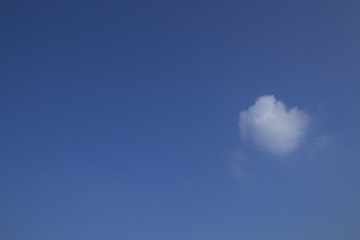 IMG_5165.jpg