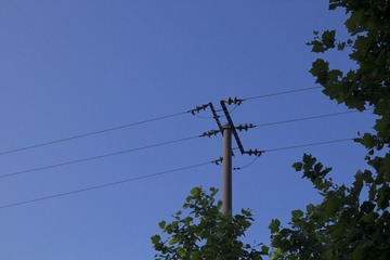 IMG_5166.jpg