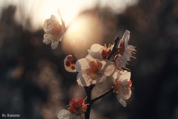 IMG_9919_副本.jpg