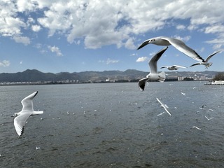 DAAB0305-CA63-4A95-8A43-451DC73D9286/L0/001