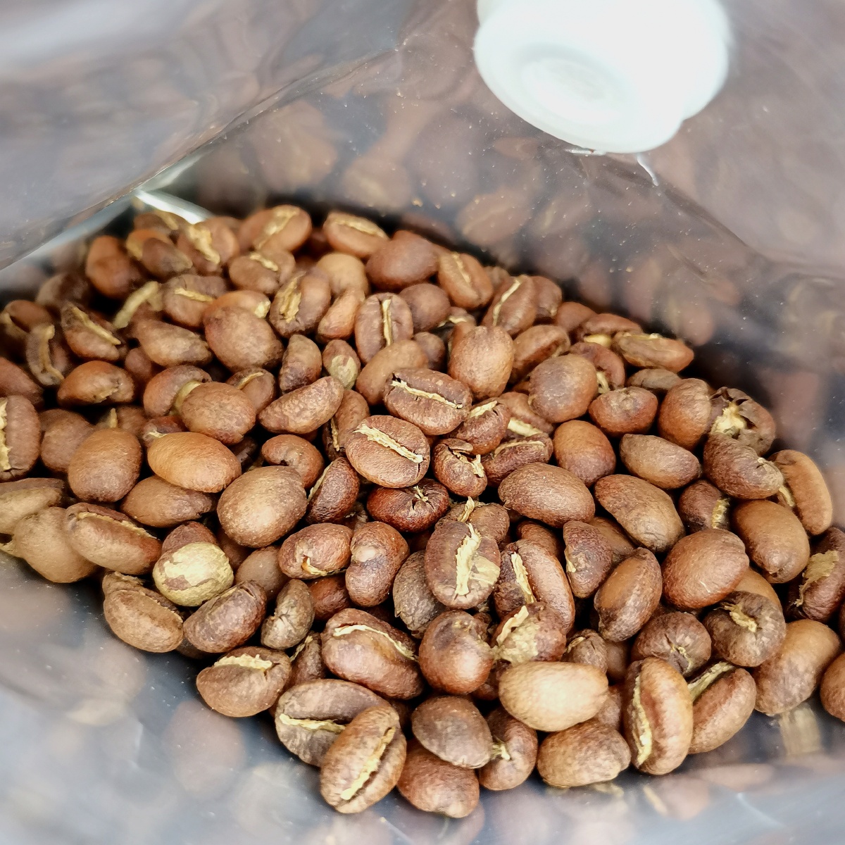 阿拉比卡咖啡豆单一豆日晒花序