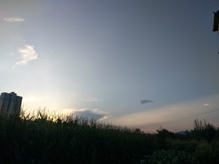 1376584